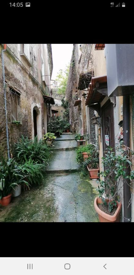 Ferienwohnung La Casa Nel Borgo SantʼAgata deʼ Goti Exterior foto